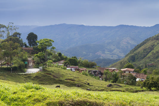 Why do we put Growing Elevation on our Coffee Bags?