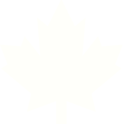 feature-item-3