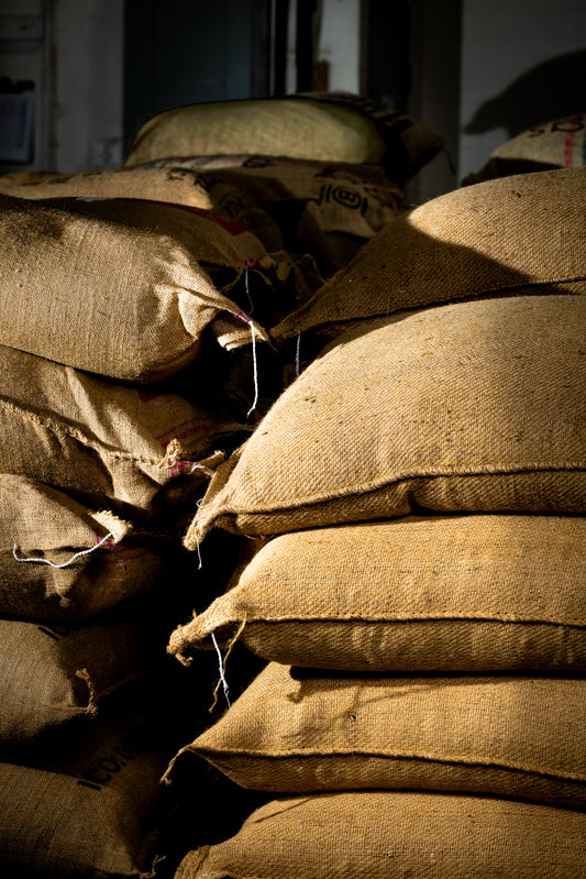 Chiapas, Mexico - Single Origin, Dark Roast - 2 lb