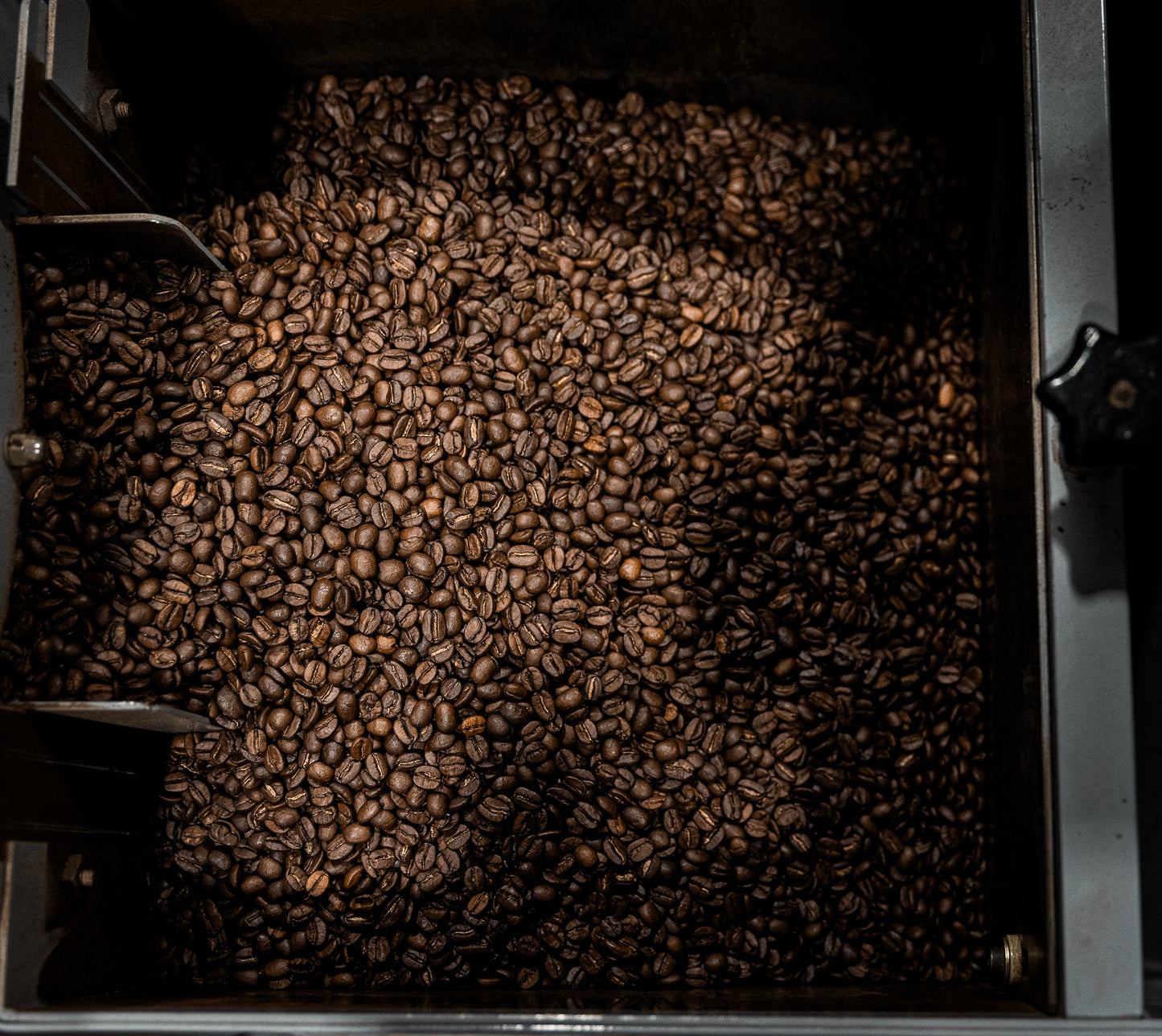 Fresh Roasted Coffee Box - Bundle Two & Save!