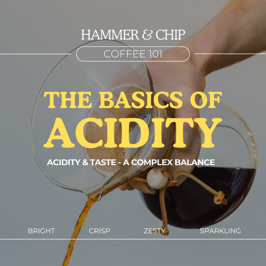 The Basics Of Acidity