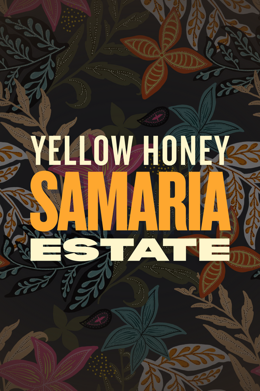 Samaria Honey - Risaralda, Colombia