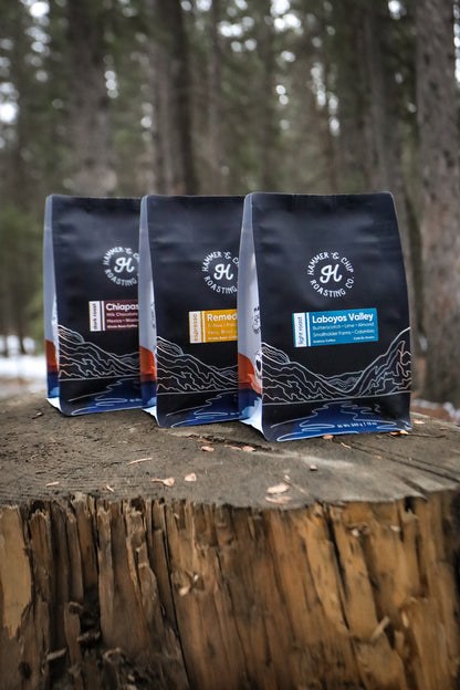 Fresh Roasted Subscription - Two Bags Per Month