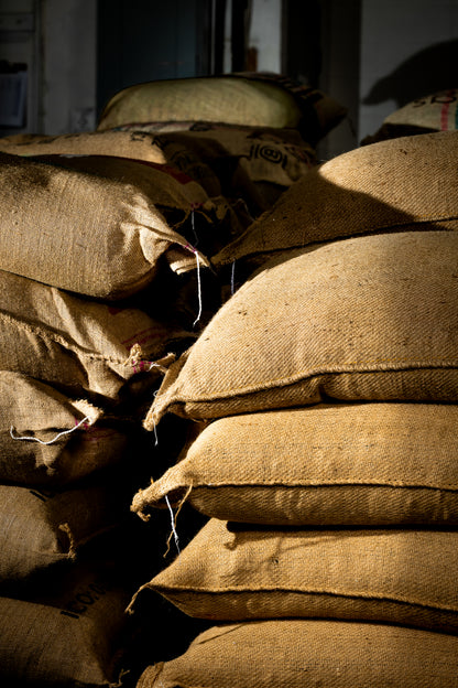 Chiapas, Mexico - Single Origin, Dark Roast - 2 lb