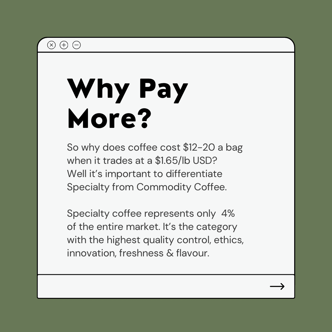 Why is Specialty Coffee Expensive? I Hammer & Chip Coffee