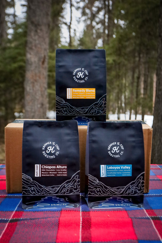 Fresh Roasted Coffee Box - Bundle Three & Save!