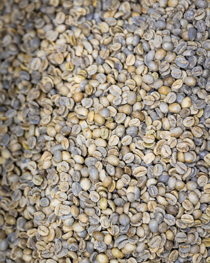 Fresh Roasted Subscription - Two Bags Per Month