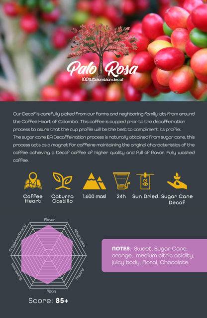 Palo Rosa - Sugar Cane Decaf, Colombia - 340 grams